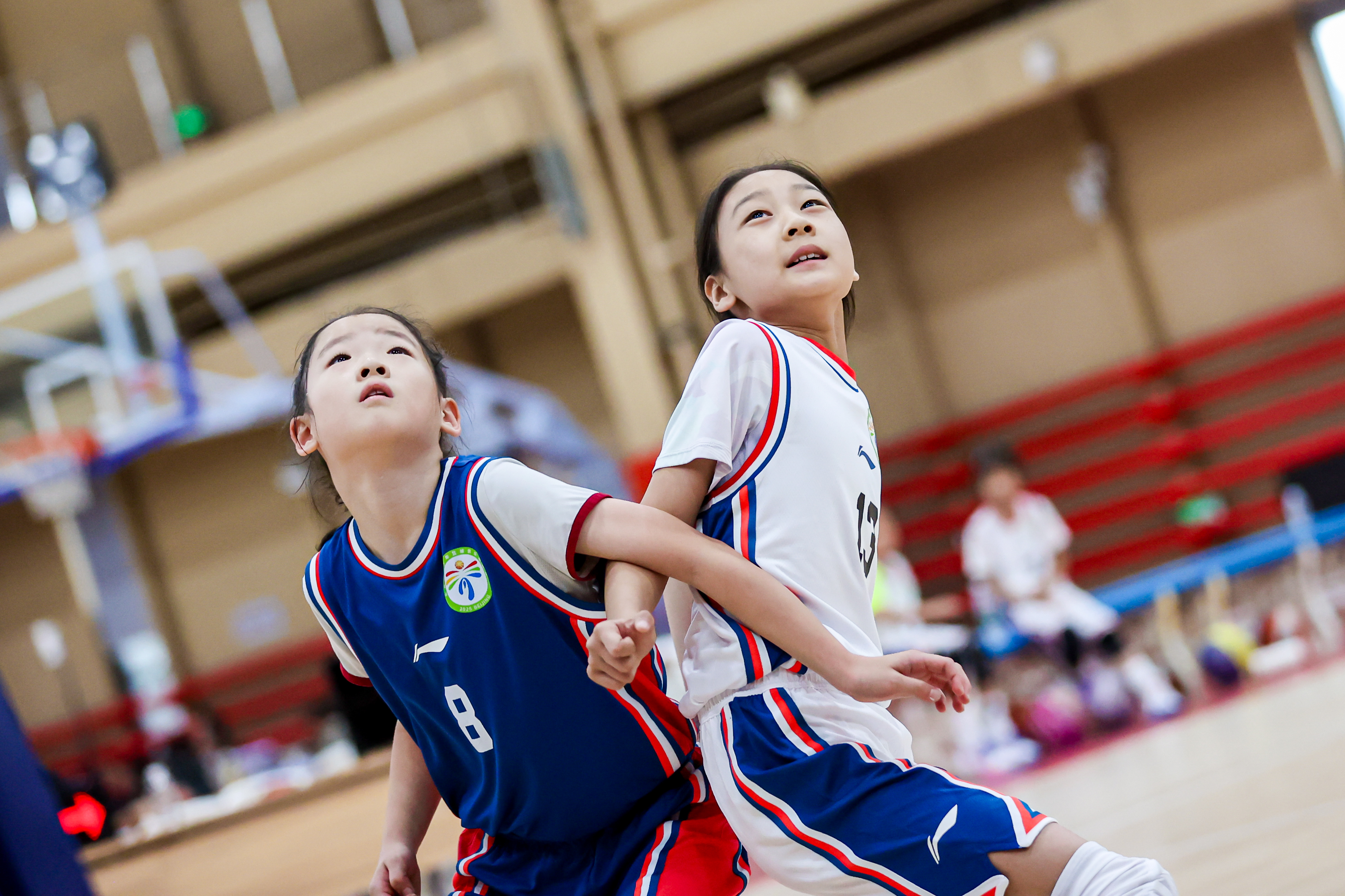 https, 总决赛 https, 总决赛